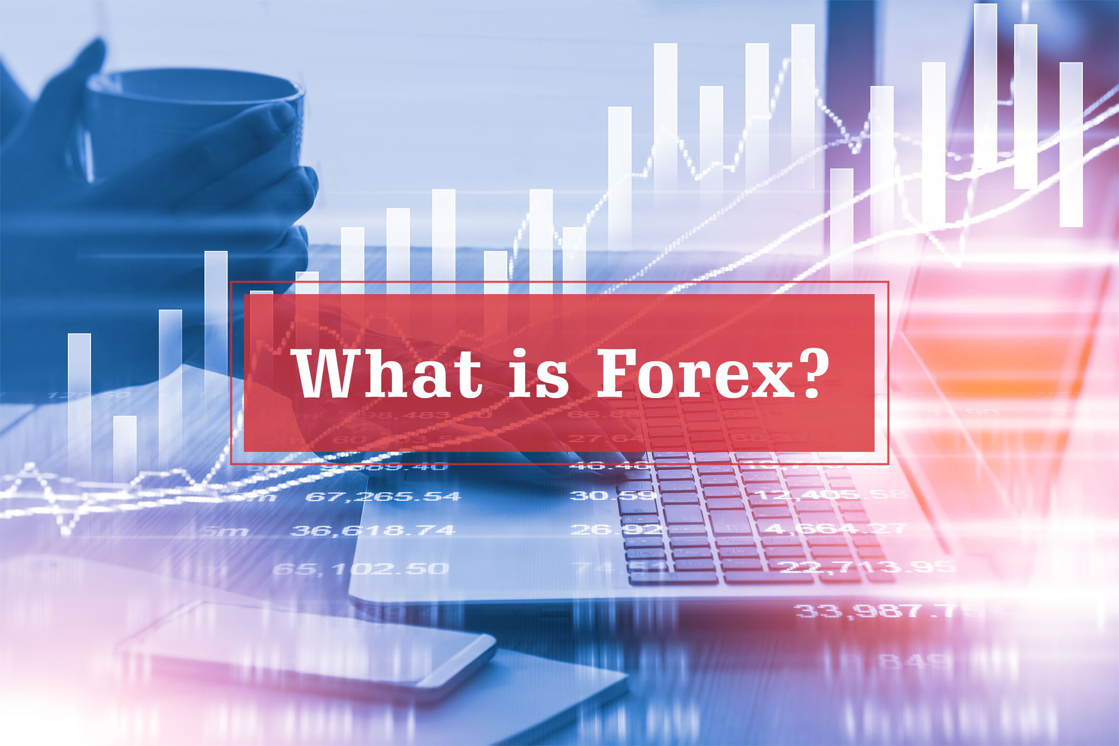 Best forex algo platform: Consultor forex